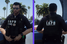lapd.png.a59953ce2345425f8ef5bf78e23c40fe.png